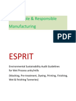 Esprit Audit Guidelines