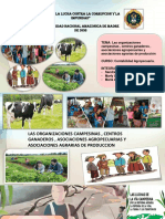 PPT CONTABILIDAD AGROPECUARIA (1).pptx
