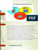 Triada Epidemiológica