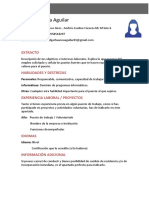 Curriculum-Vitae-sin-estudios.pdf
