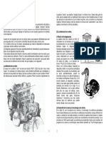 Manual Brazo Robot MR-999E PDF