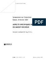 Aspects Spécifiques de L'injection Du Massif Rocheux - DR Lombardini