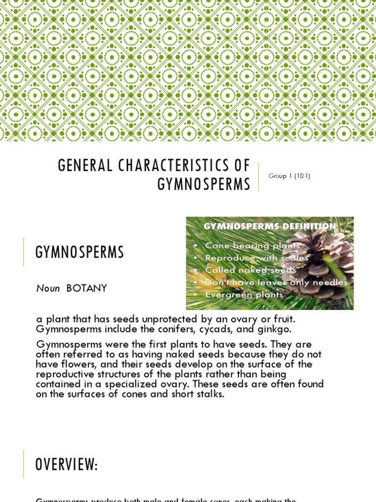 General Characteristics of Gymnosperms PDF