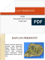 Batuan Peridotit