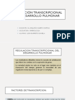 Regulación Transcripcional Del Desarrollo Pulmonar - Leon Barreto Daniela