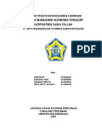 Laporan Praktikum Manajemen Agribisnis PDF