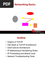 IP Basics and Routing Protocols PDF