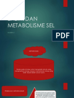 Enzim Dan Metabolisme Sel