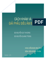 04 Cachkhamvagiaiphausieuambung Bskhoang 20141030 PDF