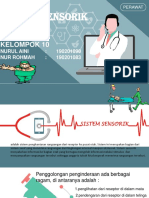 Sistem Sensorik DR - Yulis