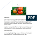 Tomato.pdf