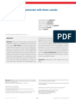 DP Endo v07n1p014019 en PDF