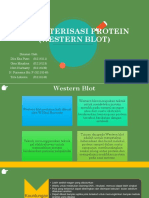 Kelompok 2 - Western Blot Fix