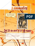 Animales clasificados