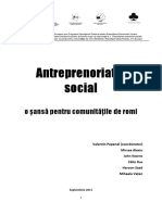 Raport Final Antreprenoriat Social Romi