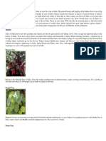 220081543-Flora-and-Fauna-docx.pdf