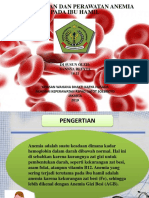 Anemia Ibu Hamil