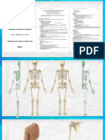 ¿Como estudiar Huesos_ (Osteología).pptx