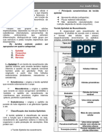 325864707-Resumo-de-Histologia-Basica.pdf