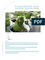 9 Manfaat Daun Seledri Yang Baru Terungkap Dan Mujarab