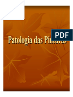 patologia_e_recuperacao_das_pinturas.pdf