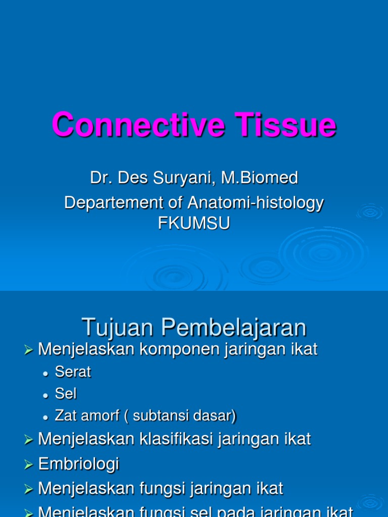 Connective Tissue | PDF | Connective Tissue | Collagen