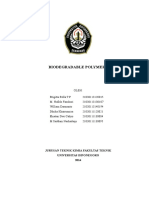 259995709-Biodegradable-Polimer.pdf