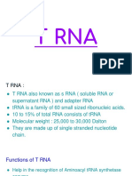 T RNA Presentation.pptx