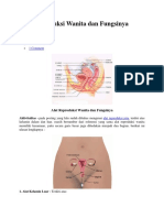 Alat Reproduksi Wanita Dan Fungsinya