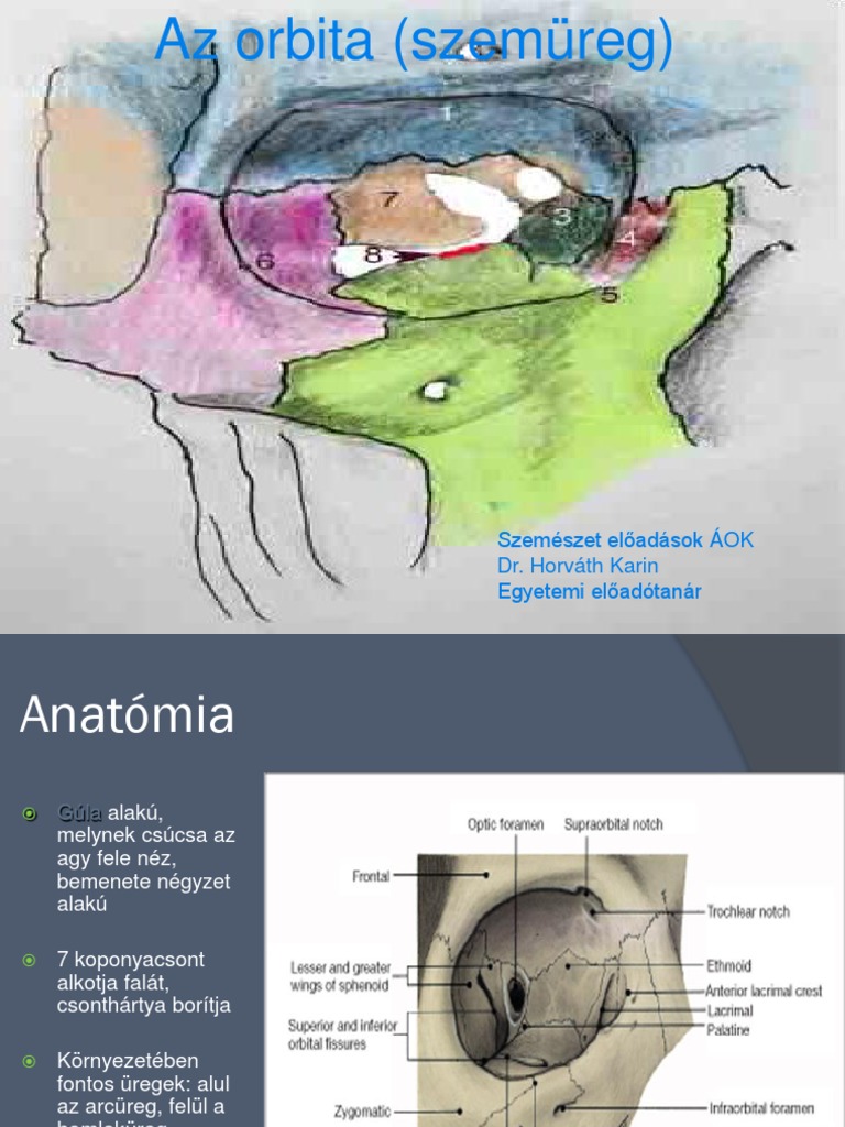 02 Orbita | PDF