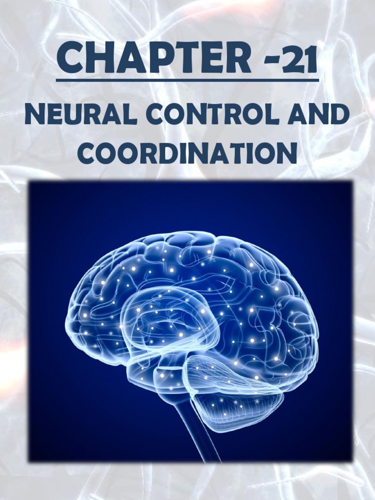 MCQs on Neural Control and Coordination | PDF | Neuron | Axon