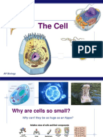 AP Lecture - The - Cell
