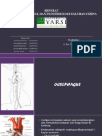 Referat Radiologi Sistem Gastrointestinal