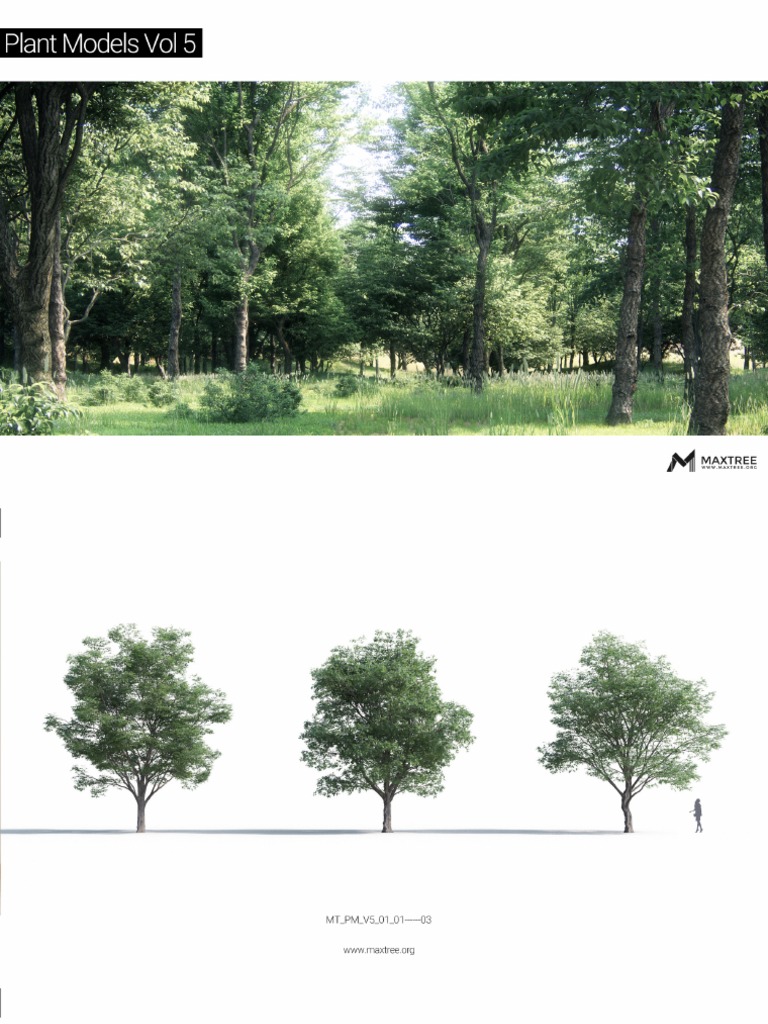Maxtree V5 | PDF