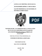 Tesis IA257_Nav (1).pdf