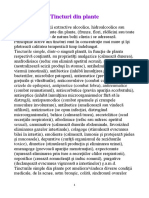 Tincturi Simple Din Plante Medicinale Care Pot Vindeca Diferite Boli PDF