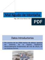POLICITEMIA DE ALTURA.pptx