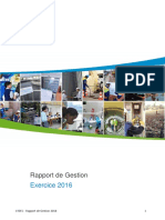Rapport de Gestion 2016.pdf