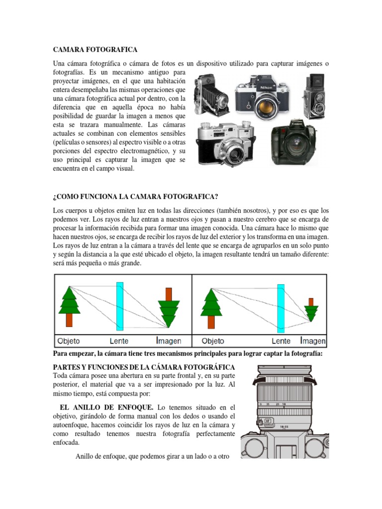 Partes principales de la Cámara