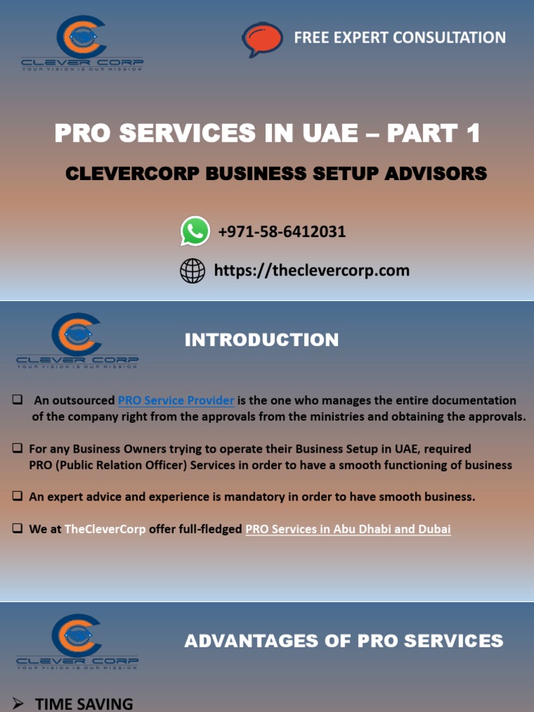 Pro Services in Dubai - Pro Services in Abu Dhabi | PDF | Travel Visa ...