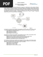 FT_consolidação_5 a 12 nov