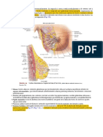 Mama - Netter PDF