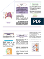 Leaflet Pneumothorax