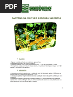 artigo-abobora-japonesa