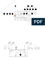 Genogram New