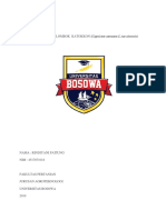 Lada Katokkon PDF