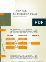 Liderazgo Multidimensional PDF