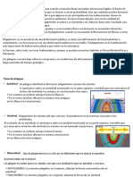 Geología 