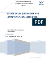 Rapport Dcheira PDF