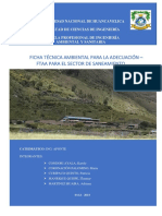 FTAA para el camal municipal de Huancavelica